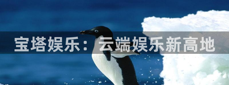 赢乐彩票4代理：宝塔娱乐：云端娱乐新高地