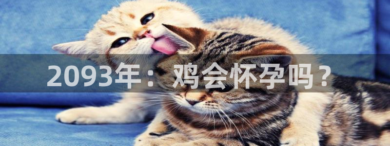 赢乐彩票股份：2093年：鸡会怀孕吗？