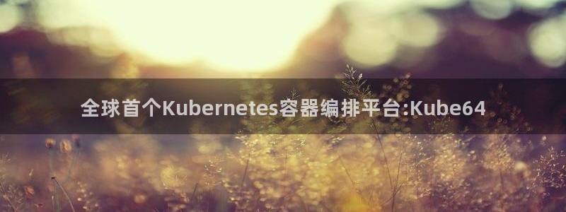赢乐彩票体育平台总代理：全球首个Kubernetes容器编排平台:Kube64