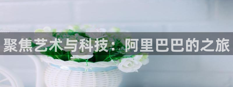 德国赢乐彩票集团：聚焦艺术与科技：阿里巴巴的之旅