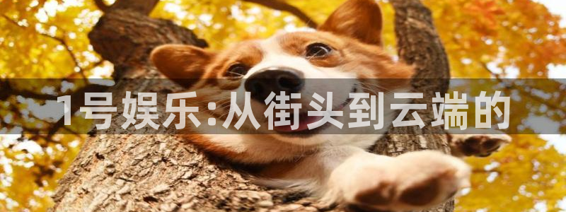 赢乐彩票体育凯捷平台注册：1号娱乐:从街头到云端的