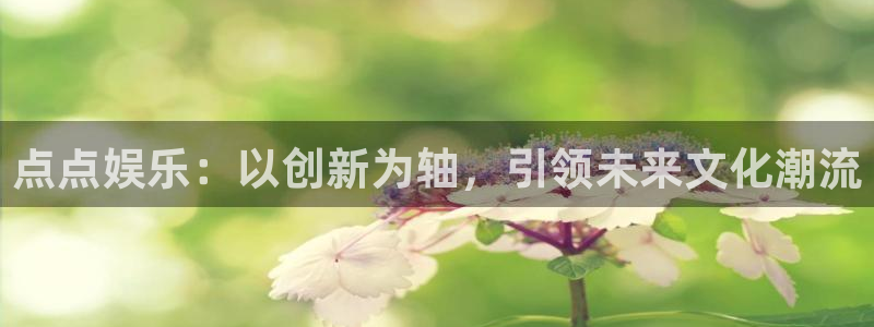 赢乐彩票2登录地址：点点娱乐：以创新为轴，引领未来文化潮流