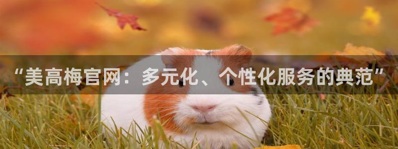 赢乐彩票2登录：“美高梅官网：多元化、个性化服务的典范”