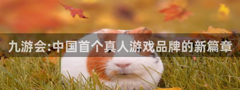 赢乐彩票3平台登录注册：九游会:中国首个真人游戏品牌的新篇章
