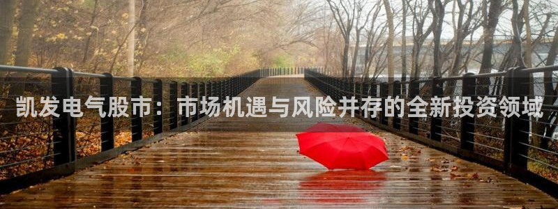 赢乐彩票平台总代理：凯发电气股市：市场机遇与风险并存的全新投资领域