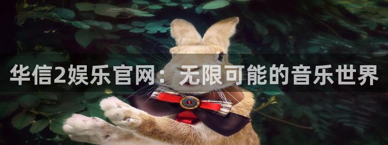 赢乐彩票体育在线注册：华信2娱乐官网：无限可能的音乐世界