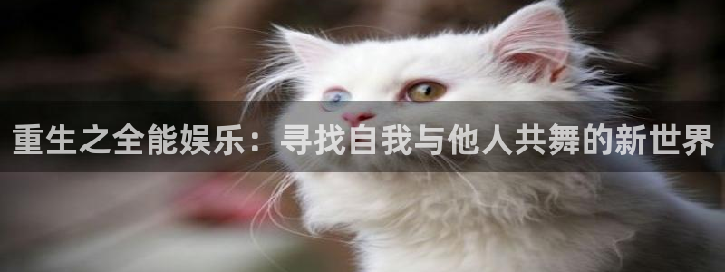 赢乐彩票体育凯捷平台招商：重生之全能娱乐：寻找自我与他人共舞的新世界