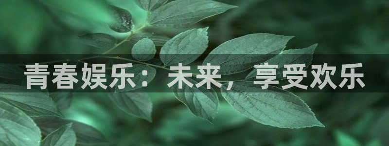 赢乐彩票2平台：青春娱乐：未来，享受欢乐