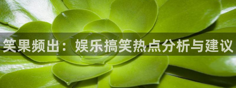 赢乐彩票体育注册代理：笑果频出：娱乐搞笑热点分析与建议