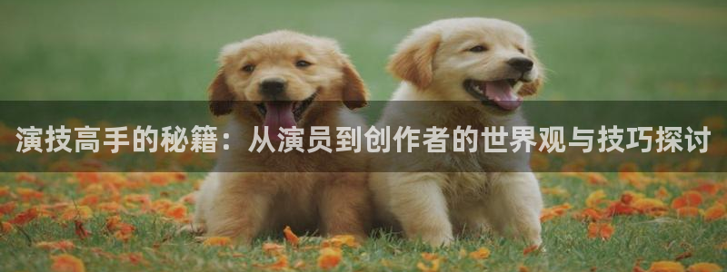 福建赢乐彩票机电股份公司：演技高手的秘籍：从演员到创作者的世界观与技巧探讨