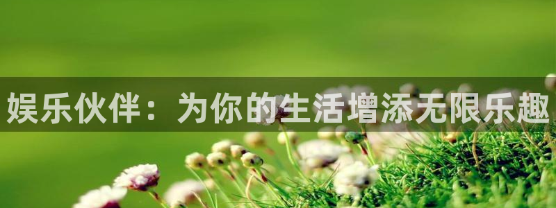 赢乐彩票集团：娱乐伙伴：为你的生活增添无限乐趣