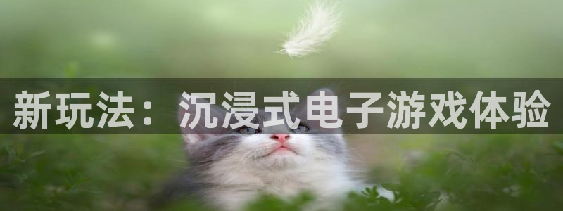 赢乐彩票平台注册入口：新玩法：沉浸式电子游戏体验
