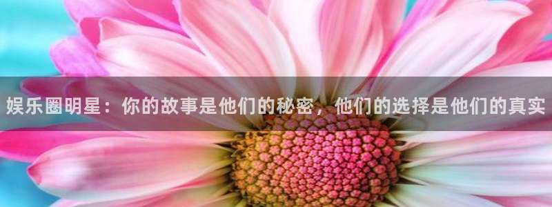 赢乐彩票体育f开户：娱乐圈明星：你的故事是他们的秘密，他们的选择是他们的真实