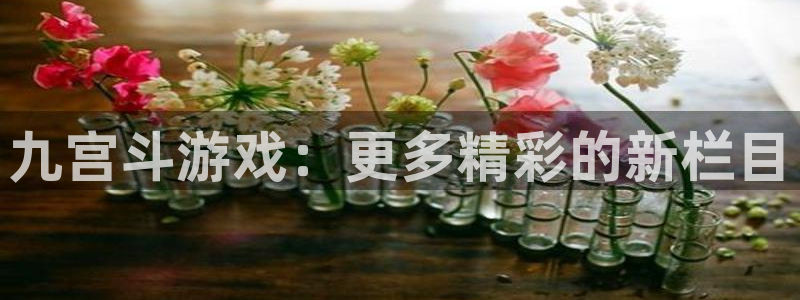 赢乐彩票f凯捷平台在线注册：九宫斗游戏：更多精彩的新栏目