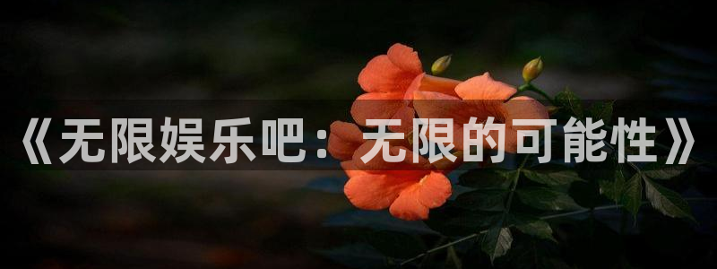 赢乐彩票体育代理申请流程：《无限娱乐吧：无限的可能性》