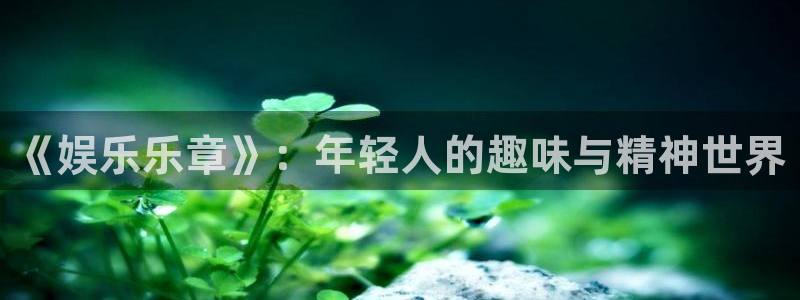 赢乐彩票体育凯捷登陆：《娱乐乐章》：年轻人的趣味与精神世界