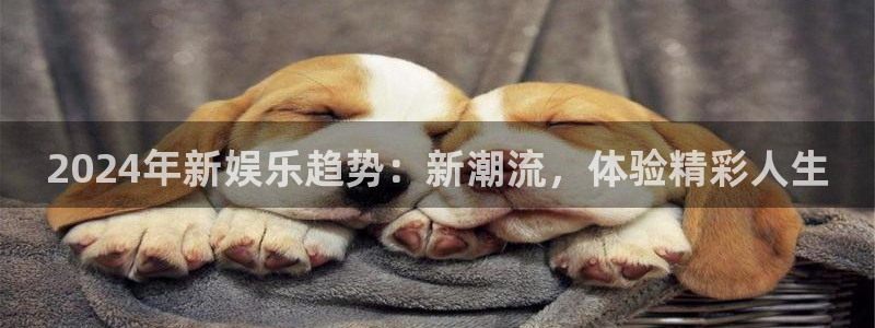 赢乐彩票集团：2024年新娱乐趋势：新潮流，体验精彩人生
