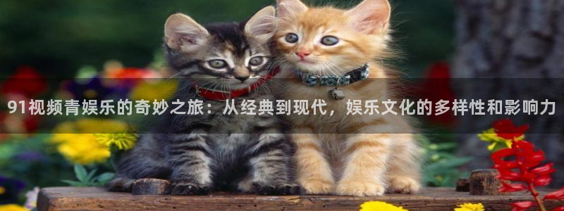 福建赢乐彩票机电股份公司：91视频青娱乐的奇妙之旅：从经典到现代，娱乐文化的多样