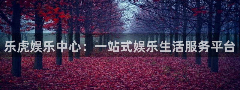 东莞市赢乐彩票电子科技有限公司：乐虎娱乐中心：一站式娱乐生活服务平台