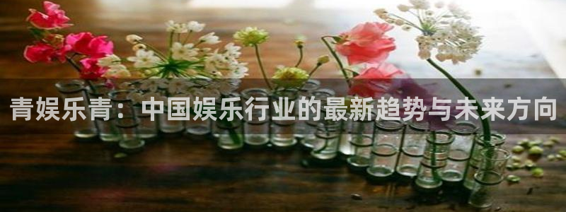 赢乐彩票招商：青娱乐青：中国娱乐行业的最新趋势与未来方向