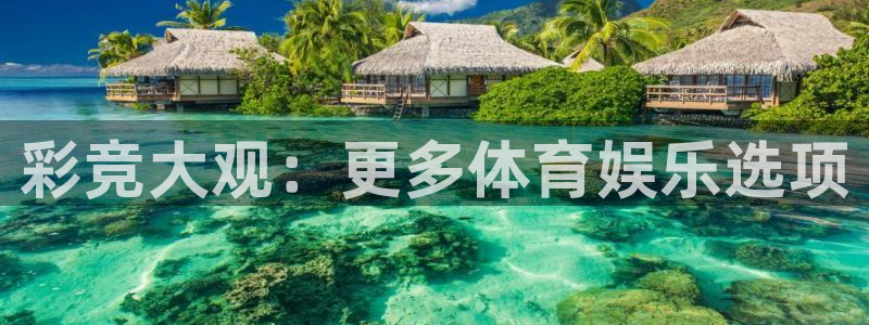 赢乐彩票招商：彩竞大观：更多体育娱乐选项