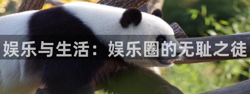 赢乐彩票体育f开号：娱乐与生活：娱乐圈的无耻之徒