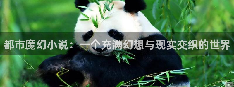 赢乐彩票体育app下载：都市魔幻小说：一个充满幻想与现实交织的世界