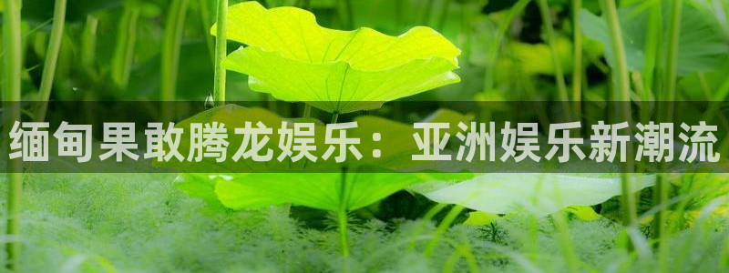 赢乐彩票4开户：缅甸果敢腾龙娱乐：亚洲娱乐新潮流