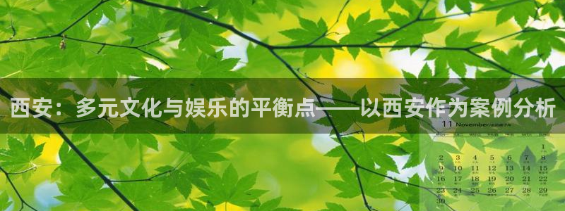 赢乐彩票包怎么样：西安：多元文化与娱乐的平衡点——以西安作为案例分析