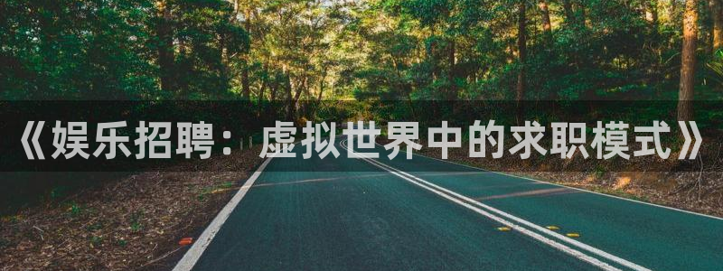 赢乐彩票vk：《娱乐招聘：虚拟世界中的求职模式》